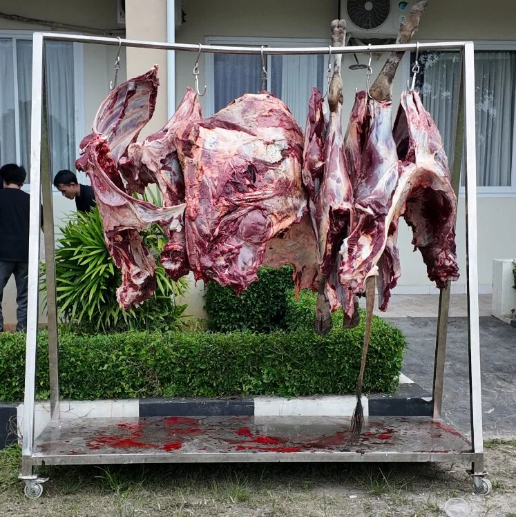 Foto 8 dari album Kurban Bersama Santri 2025